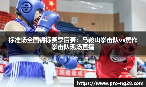 标准场全国锦标赛季后赛：马鞍山拳击队vs焦作拳击队现场直播